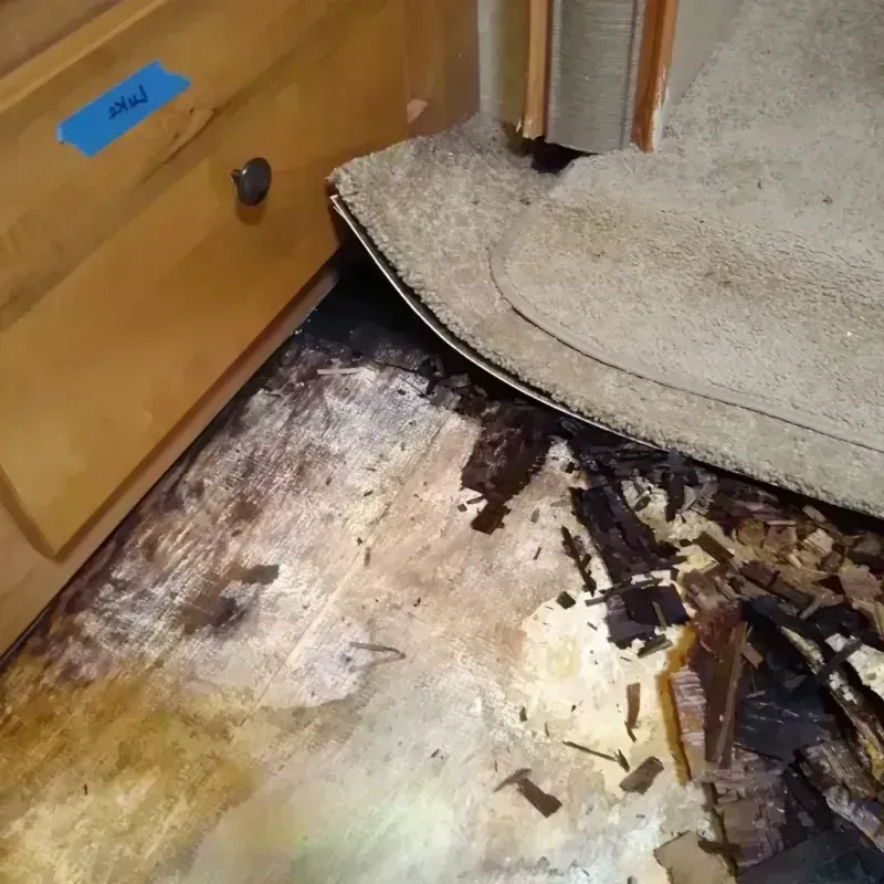 Wood Floor Water Damage in Rock County, MN